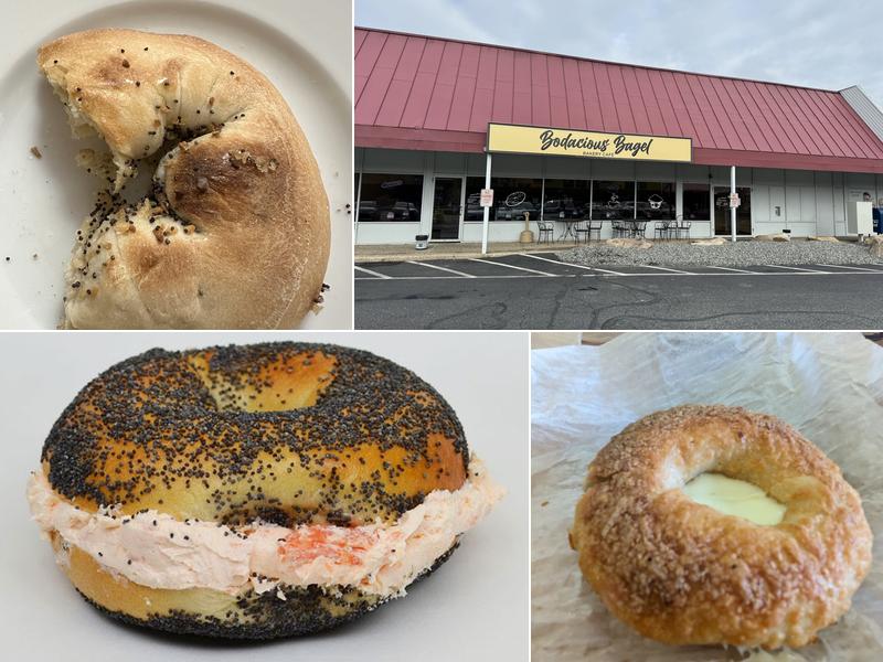 Bodacious Bagel Inc