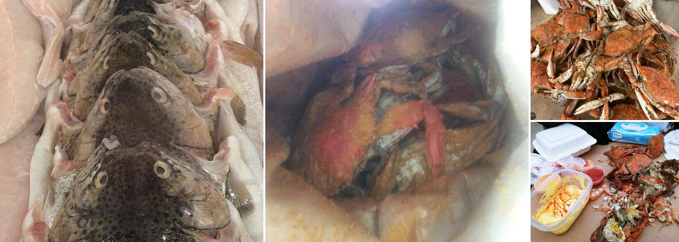 The Crab Galley (BOWIE location)