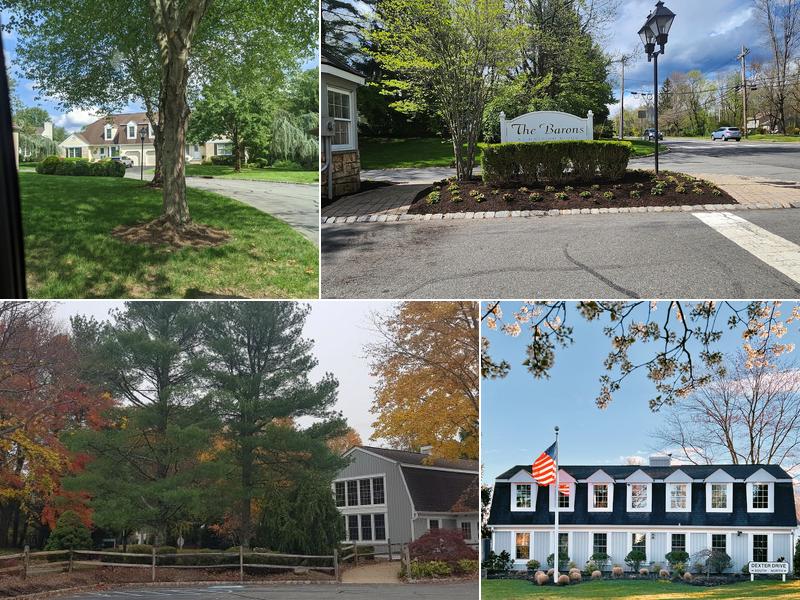 Barons At Basking Ridge Pool