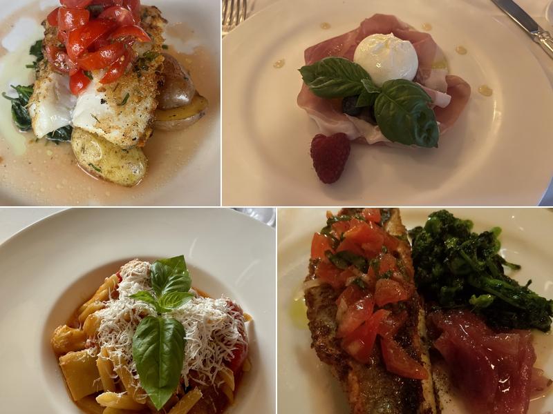 Sette