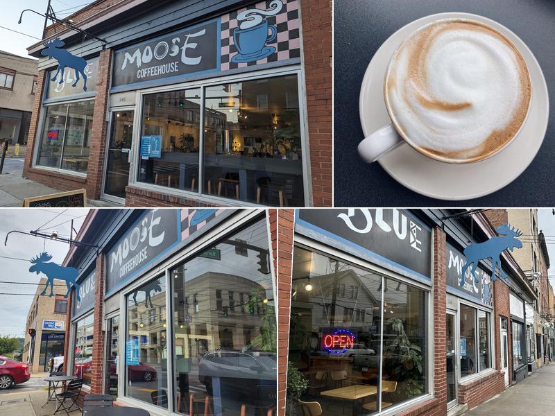 Blue Moose Coffeehouse