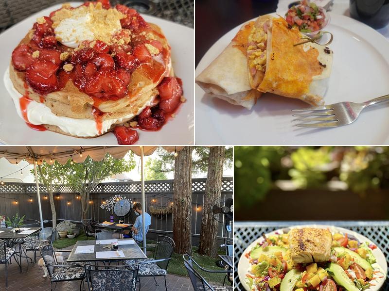 Toni's Courtyard Café