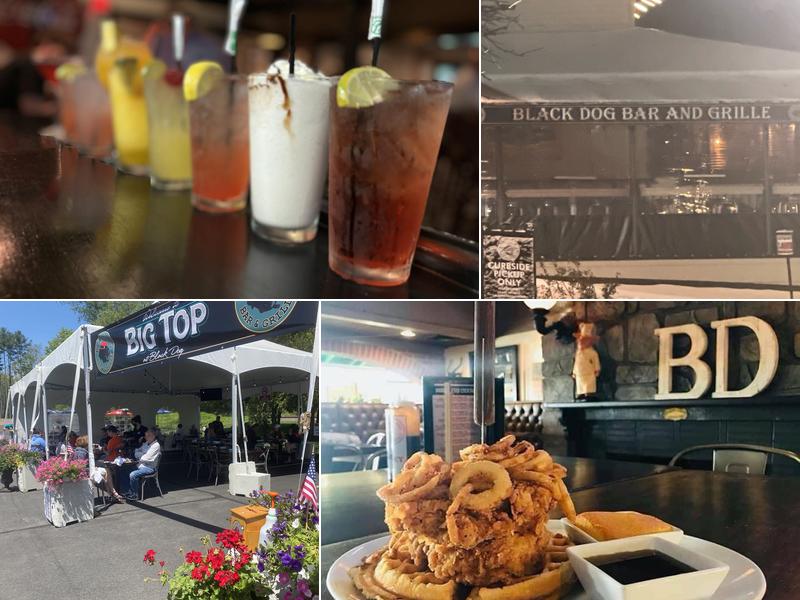 Black Dog Bar and Grille