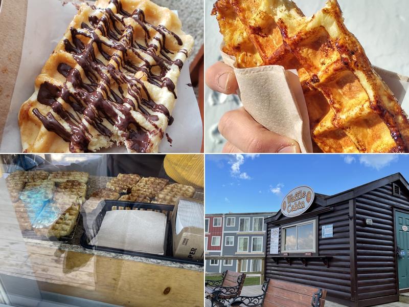 Waffle Cabin 10 Snowshoe Dr, Snowshoe