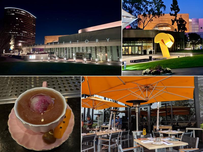 Vaca 695 Town Center Dr Suite 170, Costa Mesa