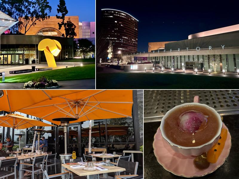 Vaca 695 Town Center Dr Suite 170, Costa Mesa