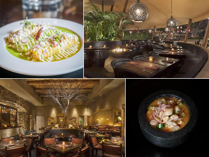 Javier's Restaurant - Irvine