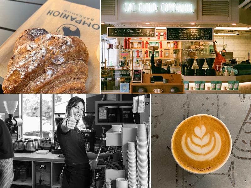 Cat & Cloud Coffee 118 Cooper St, Santa Cruz