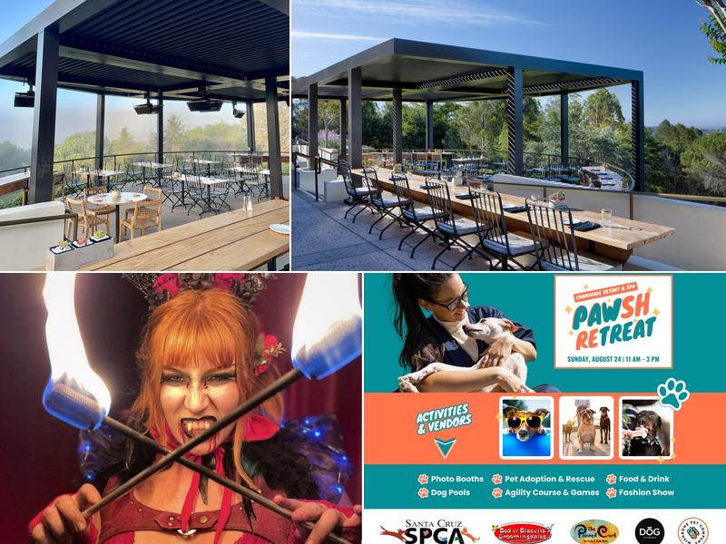 The View at Chaminade