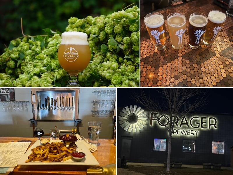 Forager Brewery and Cafe