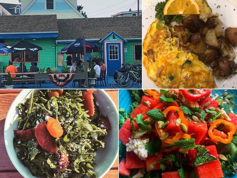 Plum Island Beachcoma