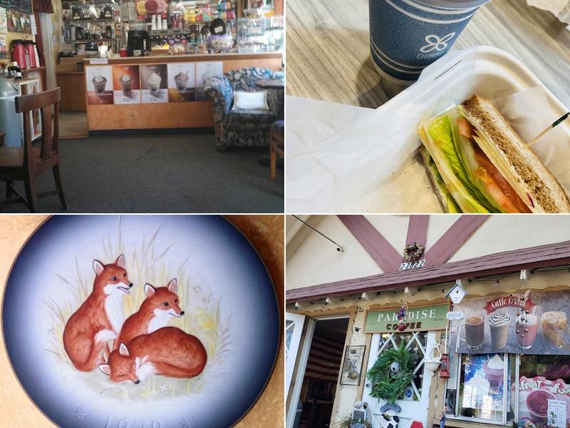 Paradise Mountain Coffee