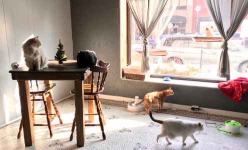 Safe Haven Pet Sanctuary