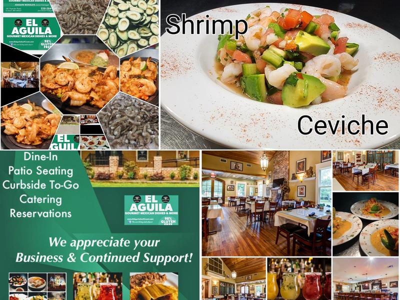 El Aguila 187 Tegarden Rd, Gulfport