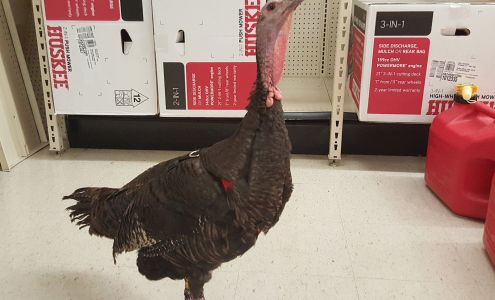 Tractor Supply Aberdeen