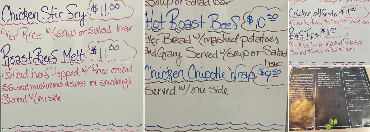 Village Garden Llc Menu