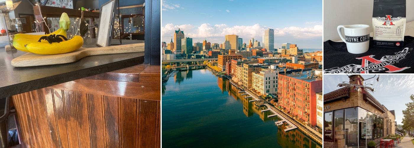 Anodyne Coffee Roasting Co.