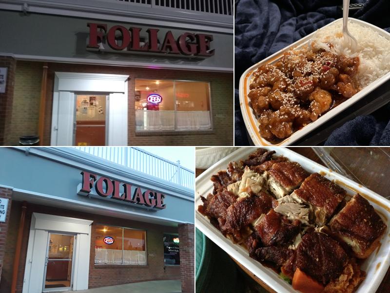 Foliage 45 Riverside Dr, Johnson City