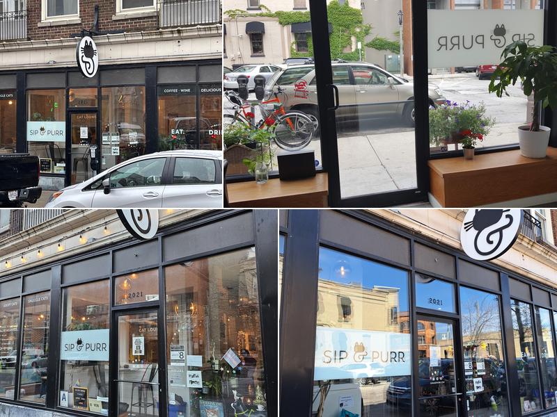 Sip & Purr Cat Café