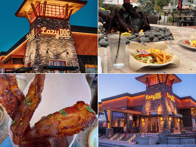 Lazy Dog Restaurant & Bar 172 W Hillcrest Dr, Thousand Oaks