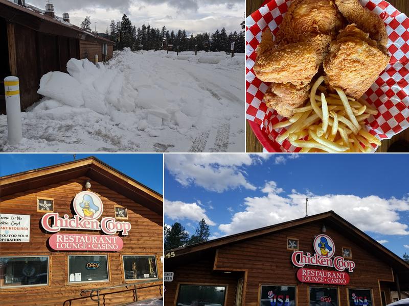 Seeley Chicken Coop & Lounge