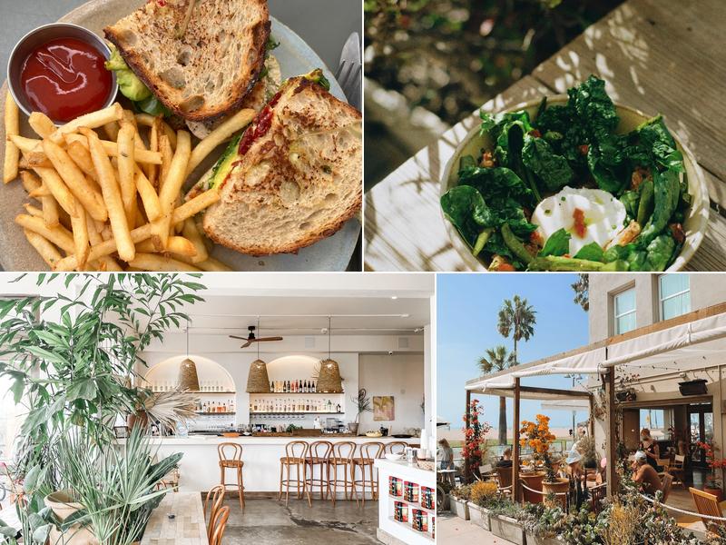 Fig Tree 431, Ocean Front Walk, Venice