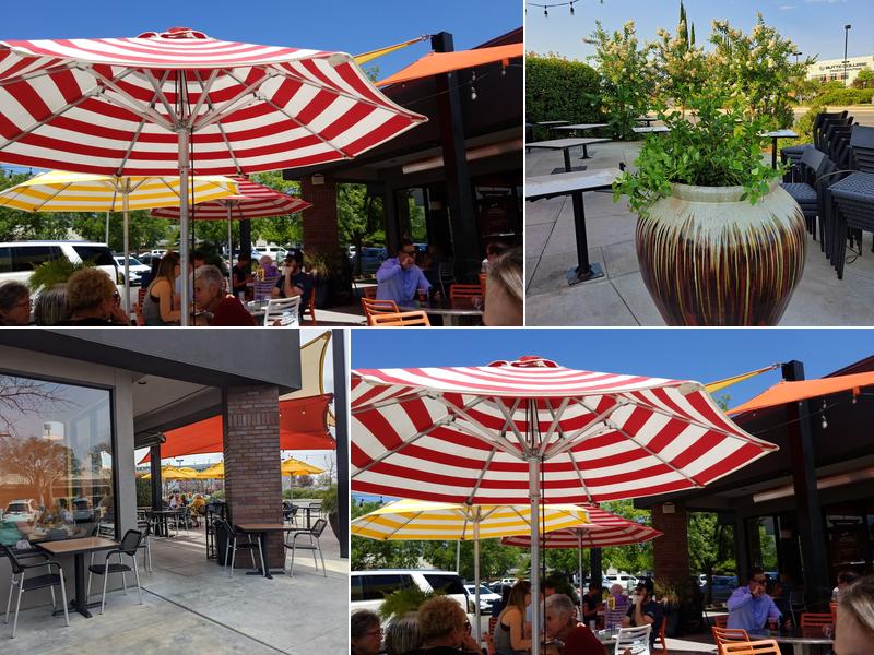 Tea Bar & Fusion Café - Chico Forest Avenue