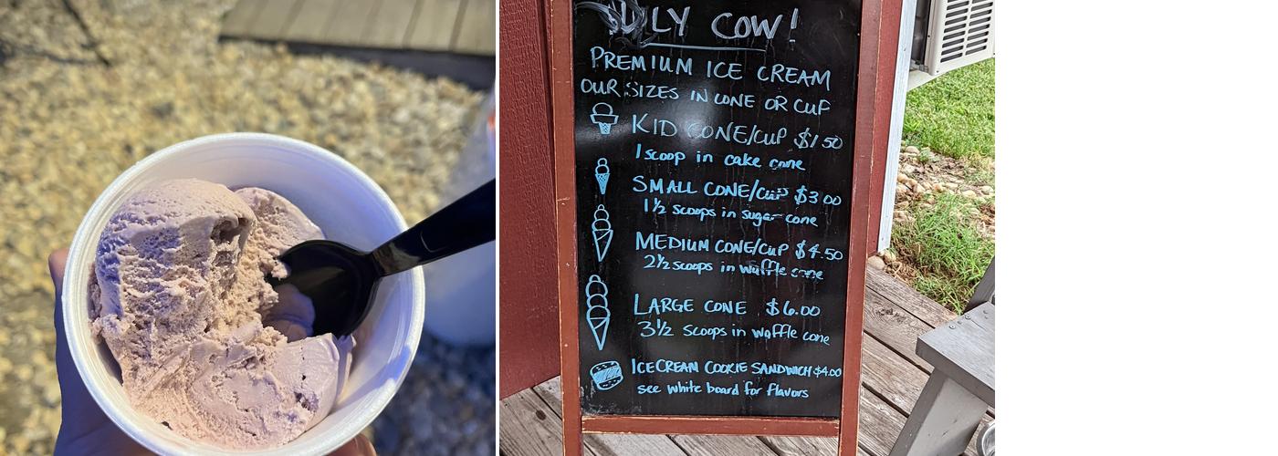 Holy Cow! Ice Cream Menu