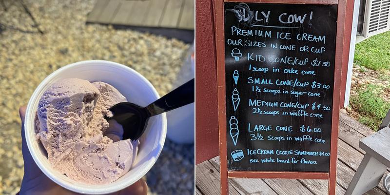 Holy Cow! Ice Cream Menu