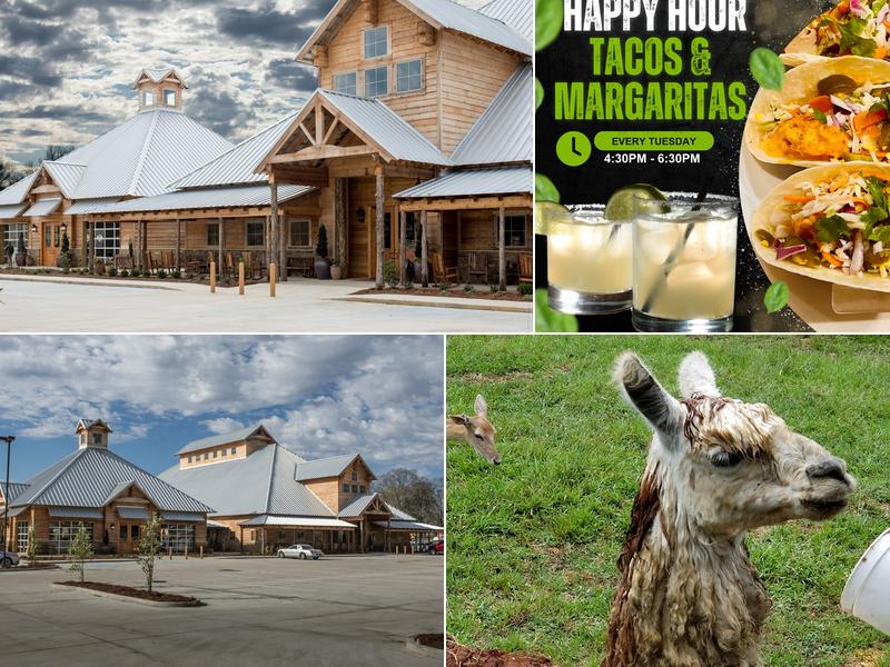 McClain Resort 874 Holly Bush Rd, Brandon