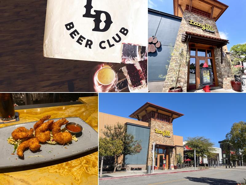 Lazy Dog Restaurant & Bar