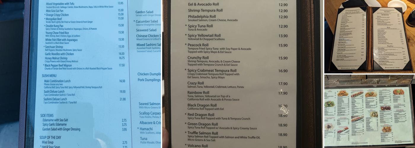Wokcano Menu