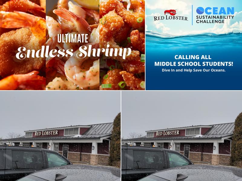 Red Lobster ACROSS FROM CABELA'S, 101 Cross Terrace Blvd, Charleston