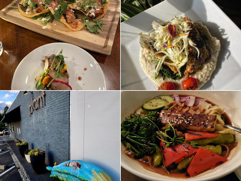 Plant 165 Merrimon Ave, Asheville