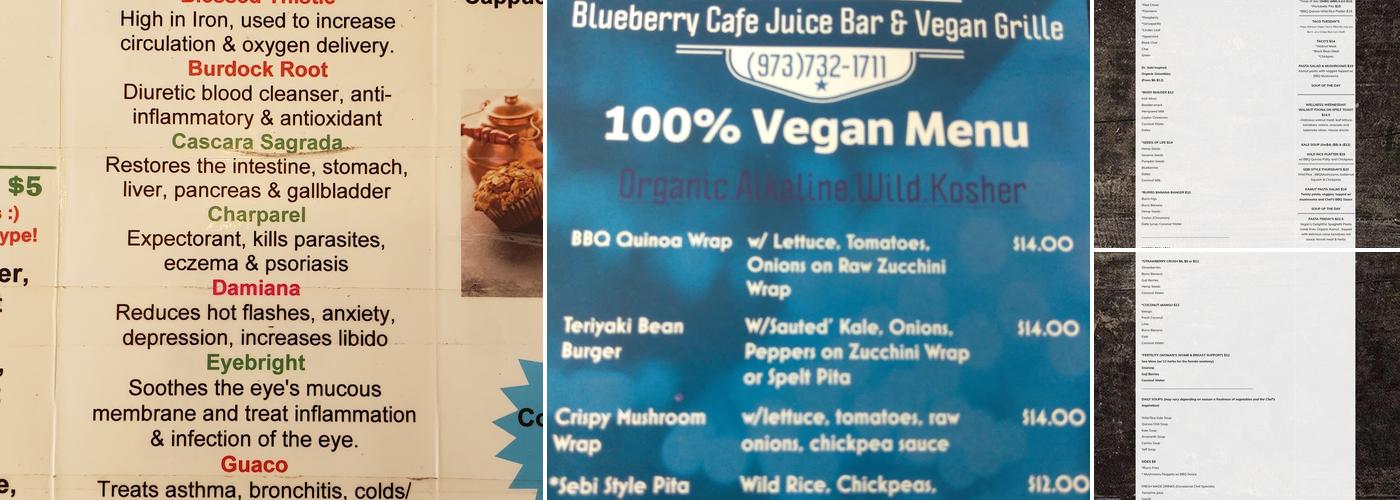 Blueberry Cafe Juice Bar And Vegan Grille Menu