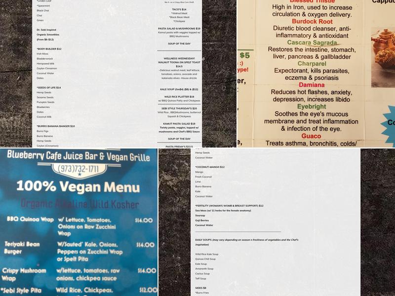 Blueberry Cafe Juice Bar And Vegan Grille Menu