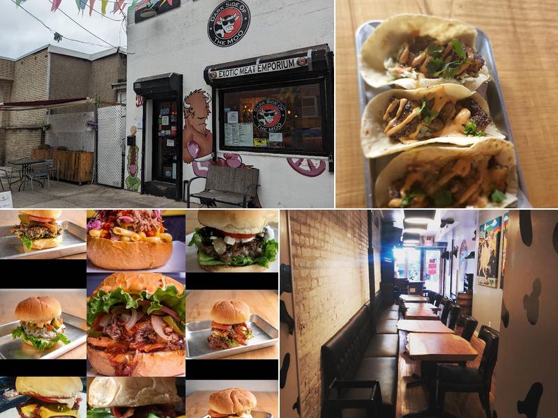 Dark Side Of The Moo