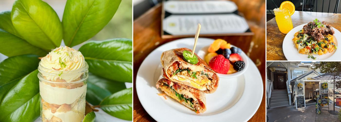 The Bee and The Biscuit