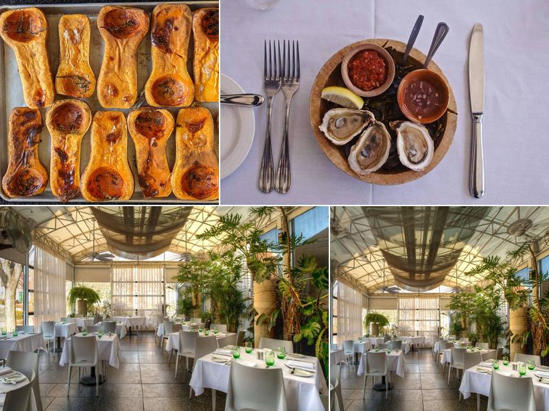 The Frog & The Peach