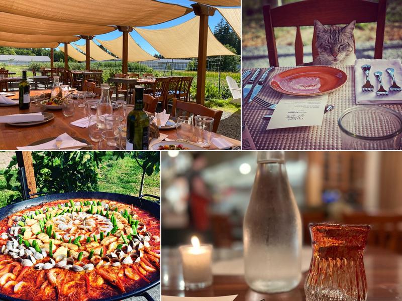 Orchard Kitchen 5574 Bayview Rd, Langley