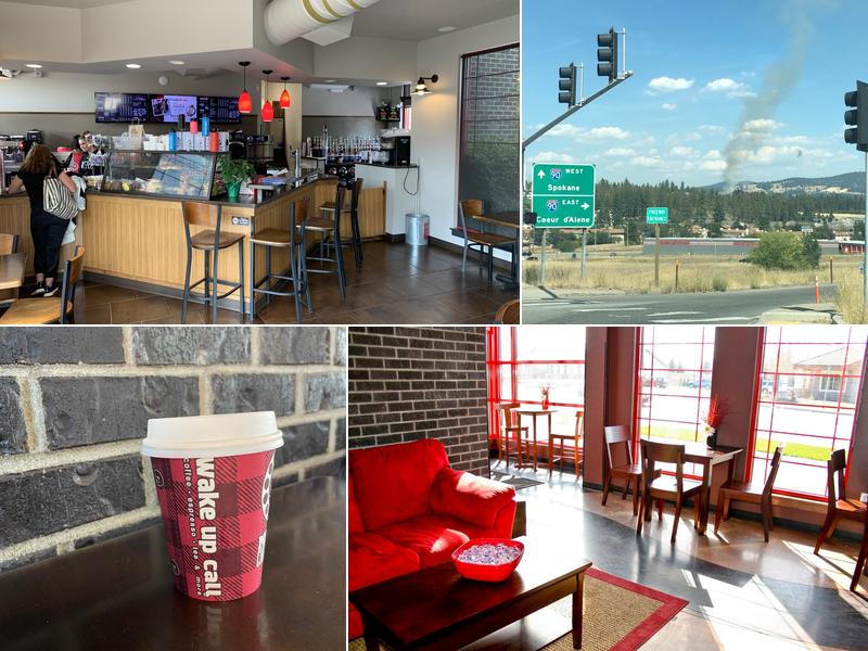 Wake Up Call - Pines