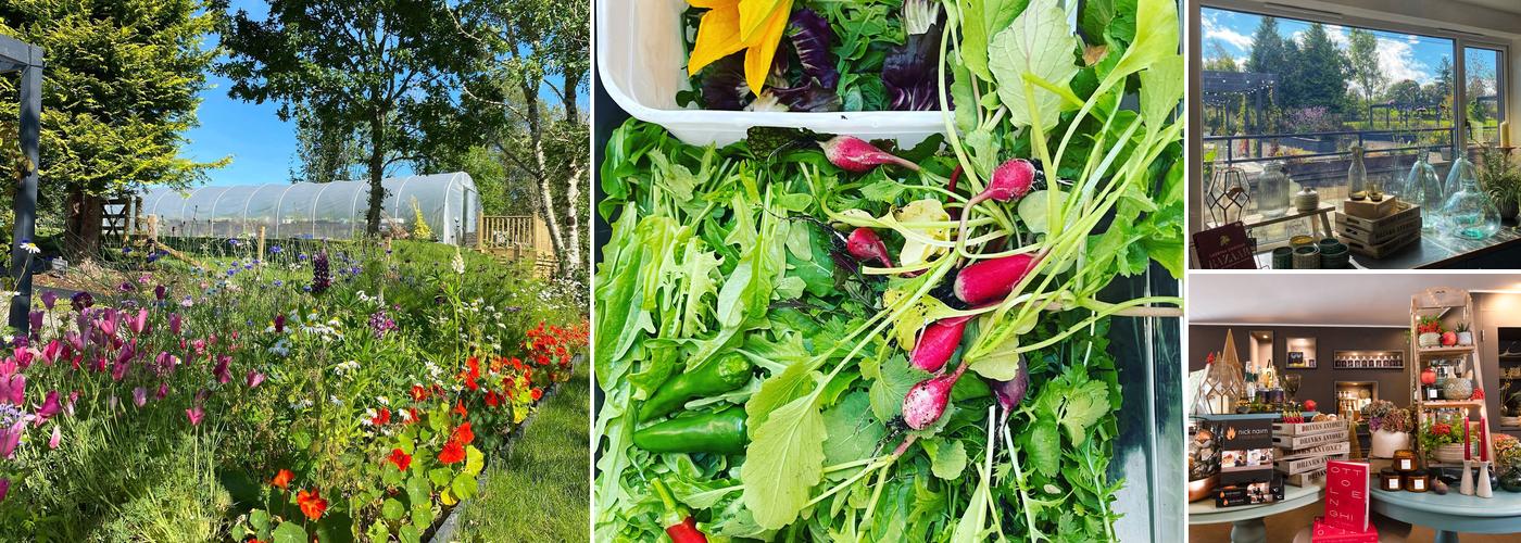 Nick's at Port of Menteith