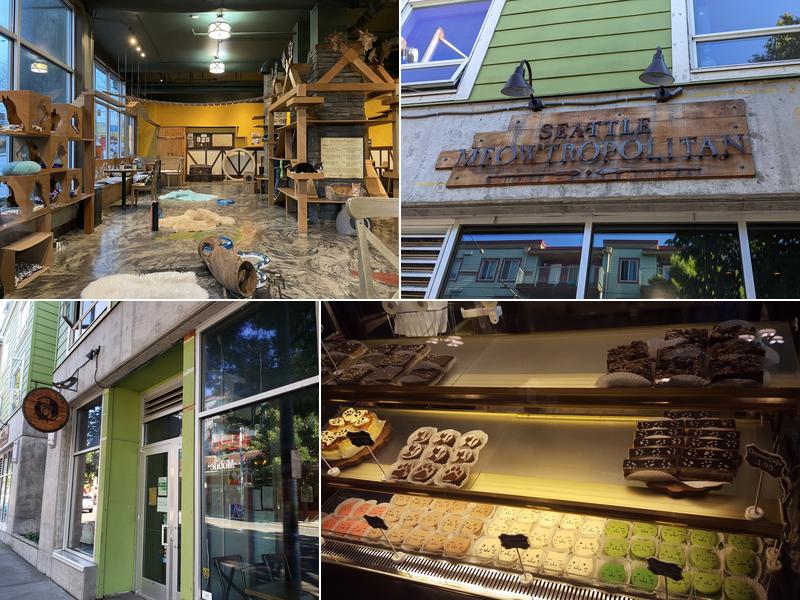 Seattle Meowtropolitan