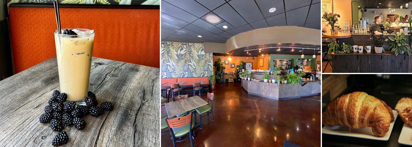 Fog & Fern Coffee House