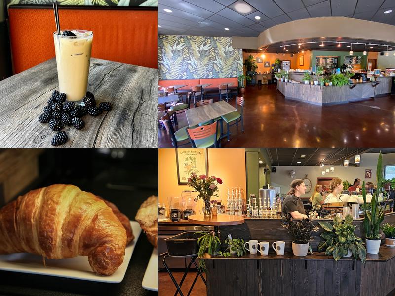 Fog & Fern Coffee House