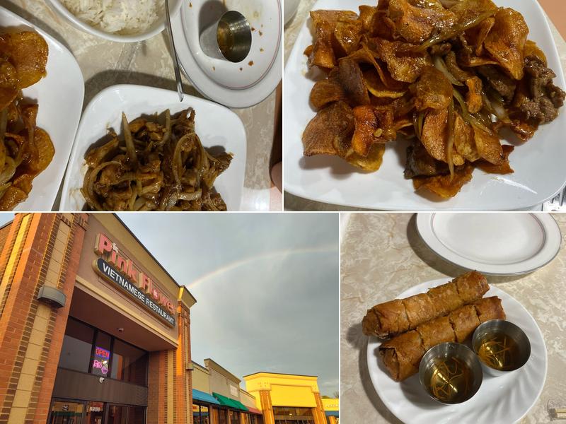 Pink Flower Vietnamese