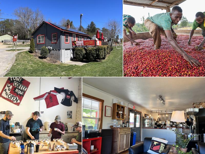 Dynamite Roasting Co. Coffee Bar