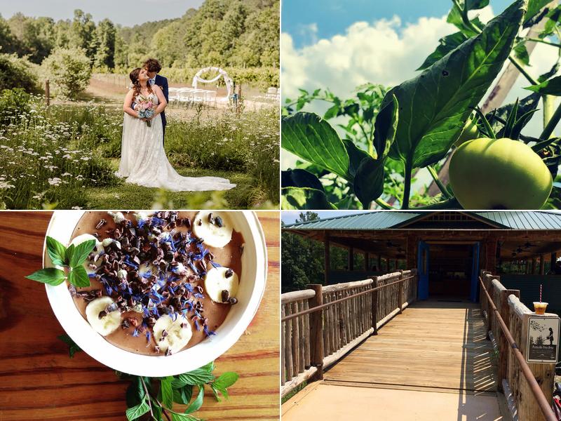 The Honeysuckle Tea House