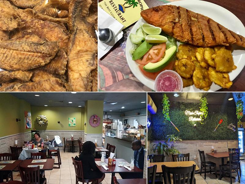 Meson Tropical 23 E Elizabeth Ave, Linden