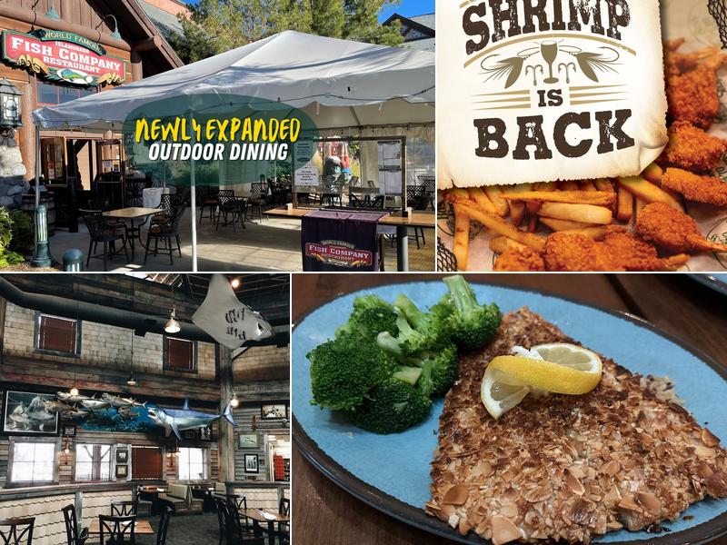 Islamorada Fish Company